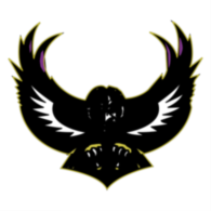 Baltimore Ravens
