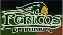 Pericos de Puebla