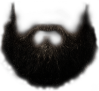Perfect Hipster Beard