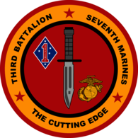 3rd Battalion 7th Marine Regiment USMC