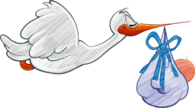 Stork Carrying Baby