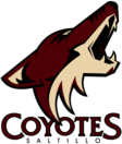 Coyotes Saltillo Hockey