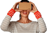 Google Cardboard VR User