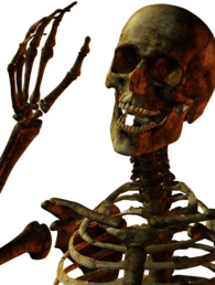 Hello Skeleton