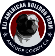 All American Bulldog Farm