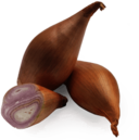 Shallots
