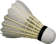 Badminton Birdie White