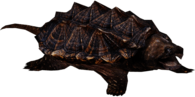 Snapping Turtle