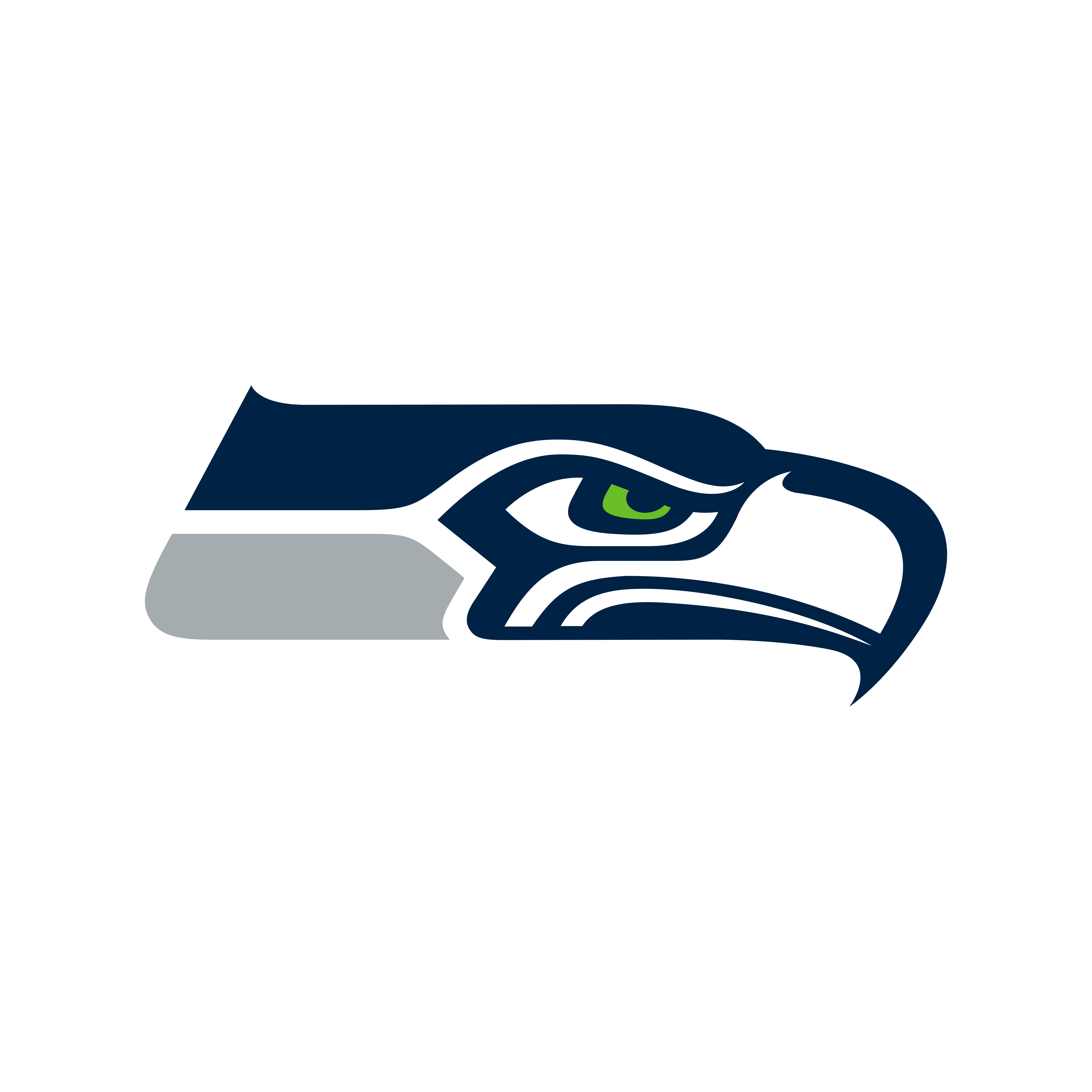 Seattle Seahawks