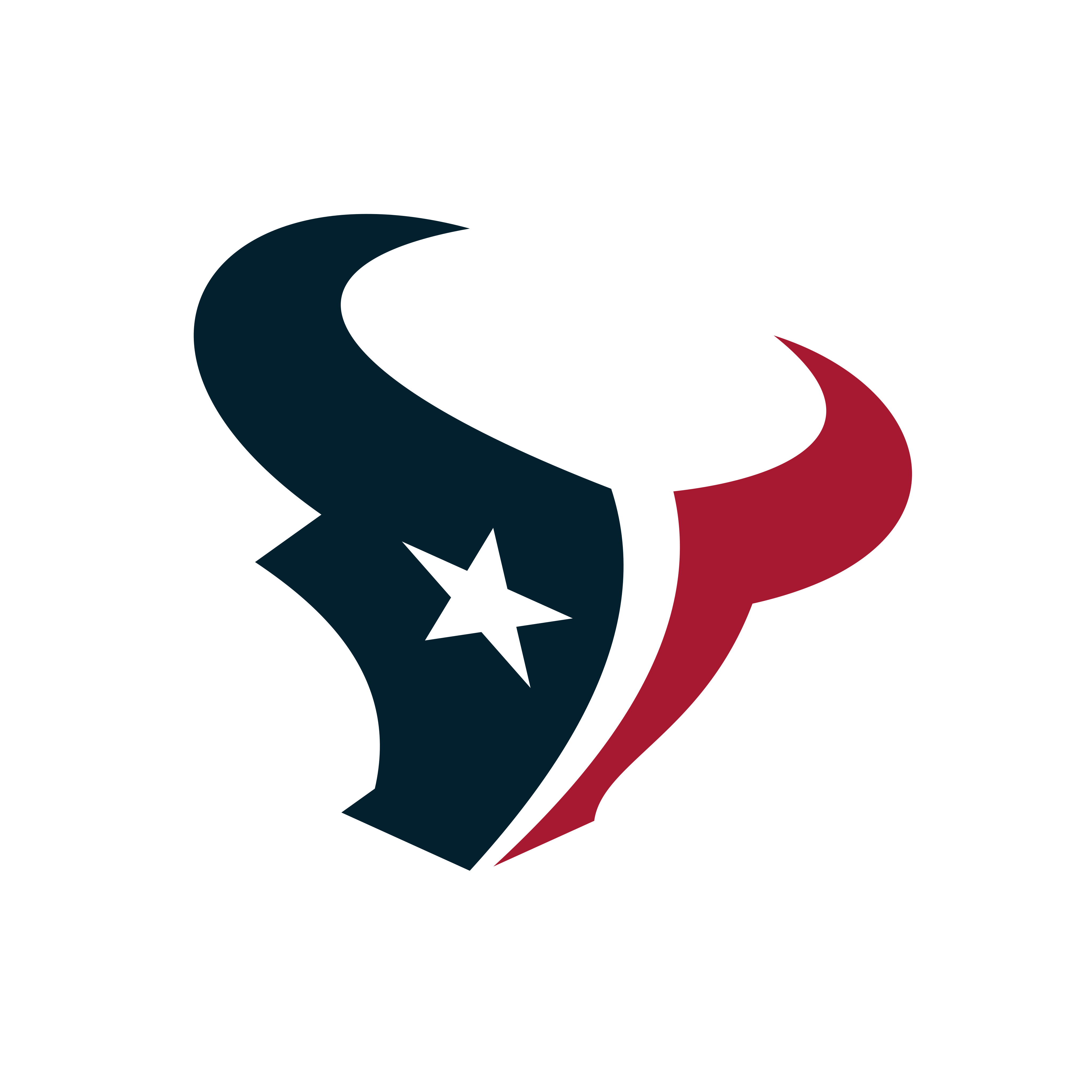 Houston Texans
