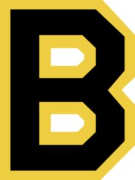 Boston Bruins