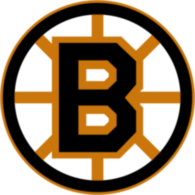 Boston Bruins 20497
