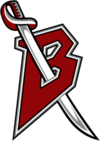 Buffalo Sabres 37557