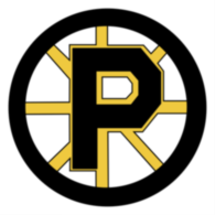 Providence Bruins