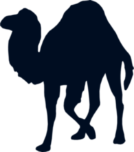 Perl Programming Language