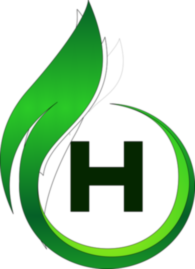 Habib It Solutions 
