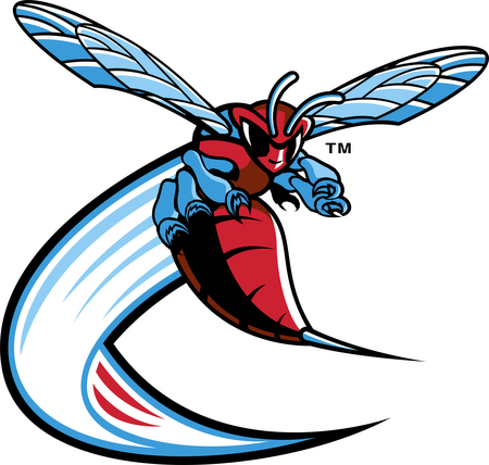 Delaware State Hornets