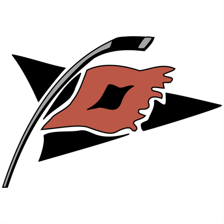 Carolina Hurricanes