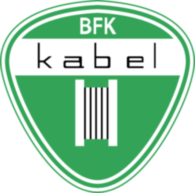 BFK Kabel 15194