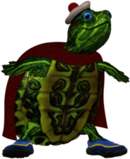 Turtle Tuck Looking Smart