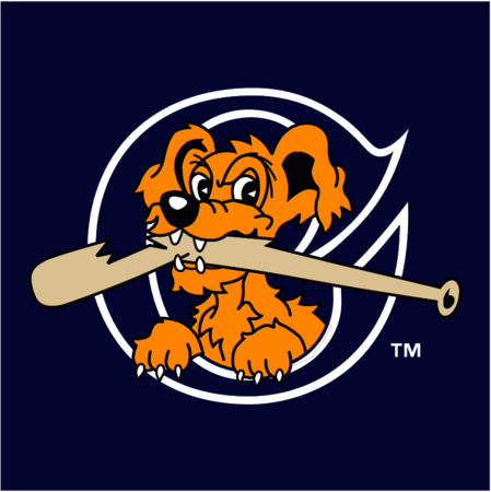 Charleston RiverDogs