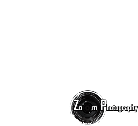 Zoom Photography
