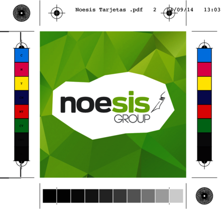Noesis Agency Group