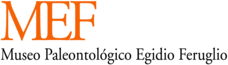 Museo Emilio Feruglio