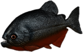 Piranha Figurine