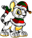 Christmas Kougra