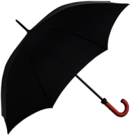 Black Open Umbrella