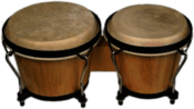 Bongo Drums