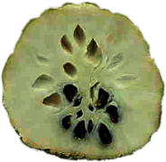 Half Sugar Apple