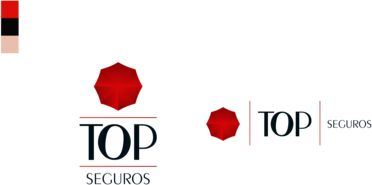 Top Seguros