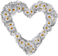 Heart Made Of Marguerites