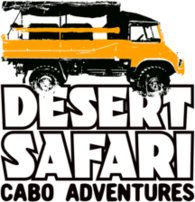 Desert Safari
