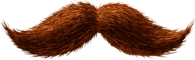 Ginger Moustache