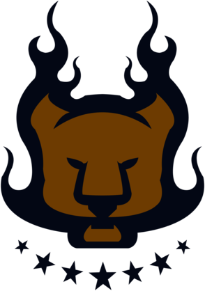 Pumas Muchachitos de Porra