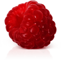 Isolated Raspberry