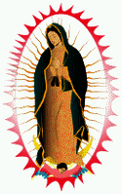 Virgen De Guadalupe