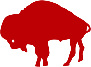 Buffalo Bills