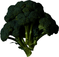 Dark Green Broccoli