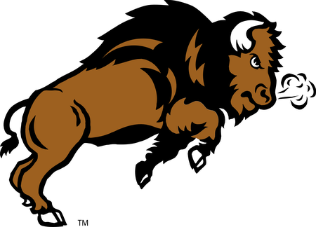 Ndsu Bison