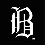 Birmingham Barons