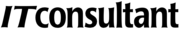 IT Consultant