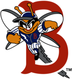 Binghamton Mets