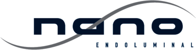 nano endoluminal