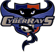 Bay Area Cyberrays