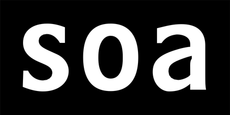 Stichting Soa
