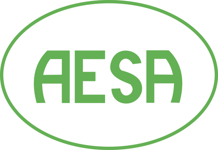 Associacao Esportiva Santo Angelo De Santo Angelo Rs